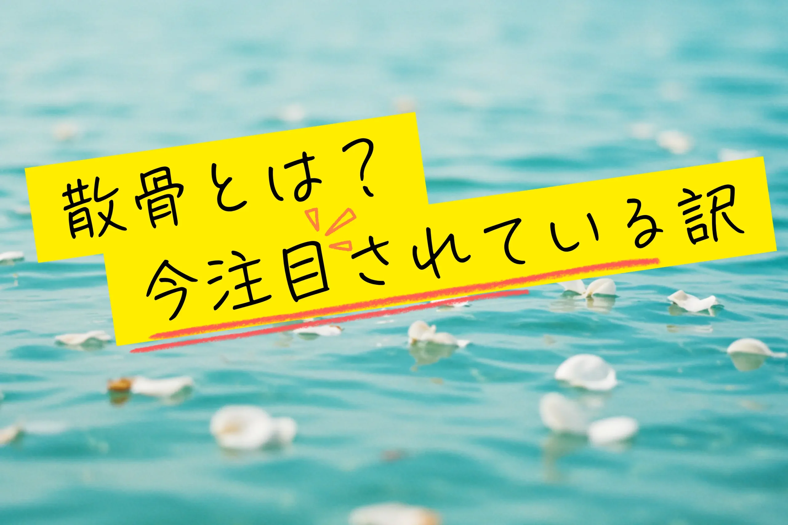 散骨とは？今注目されている「新しい供養のかたち」