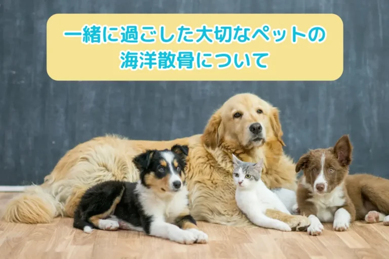 一緒に過ごした大切なペットの海洋散骨について