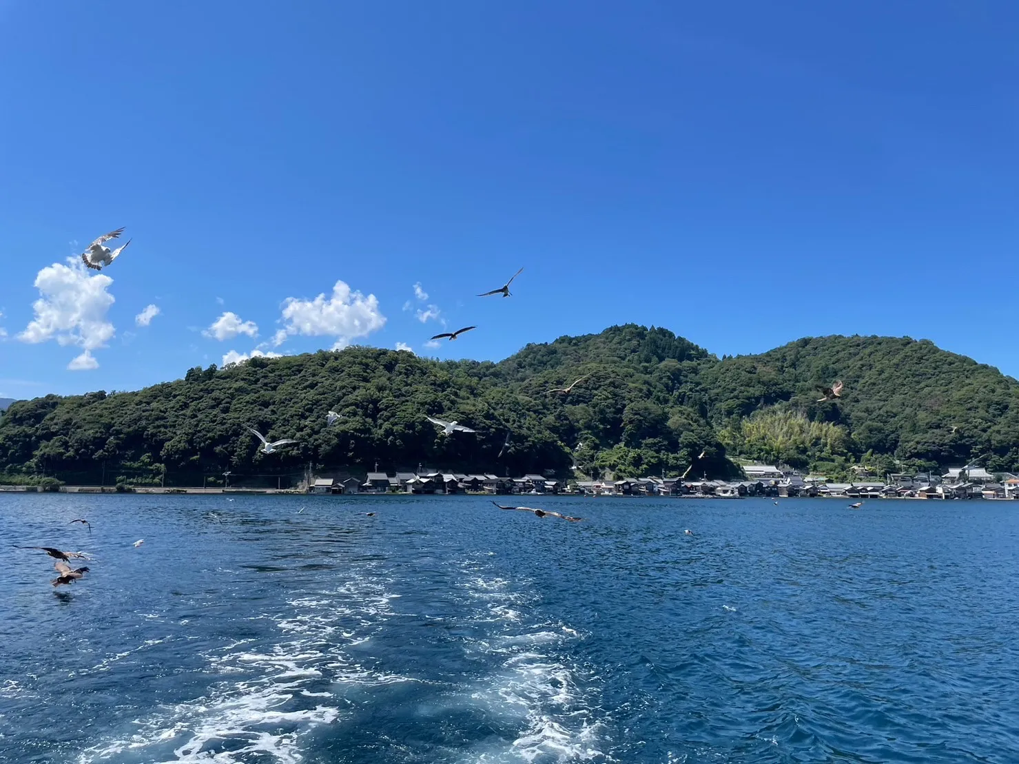 皆様は『海洋散骨』をご存じでしょうか。