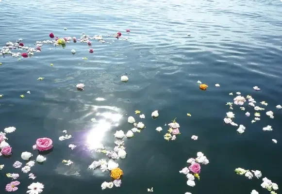 のりあい散骨プラン