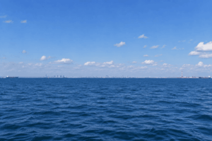 東京湾・千葉沖