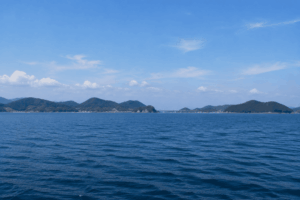 日生沖