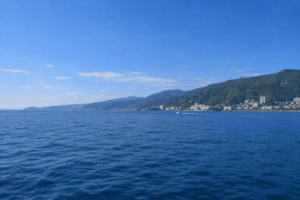 伊東沖