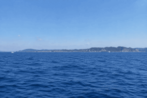 勝浦沖