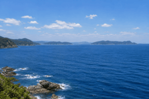 高知沖