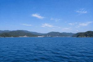 舞鶴沖