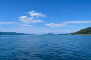 陸奥湾