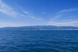 新潟沖