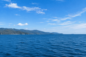 尾鷲沖