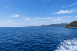 徳島沖