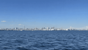 東京湾・東京沖