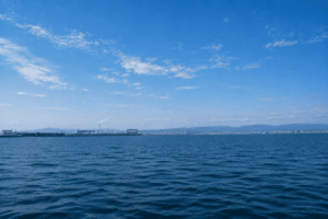津沖