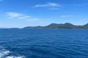 宇和島沖