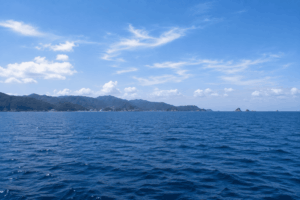 和歌山沖